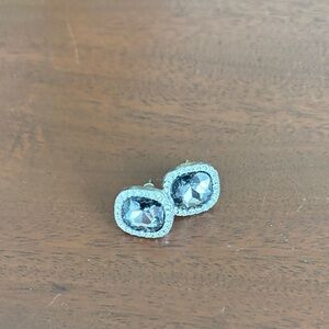 Crystal Halo Stud Earrings in Silver Gray